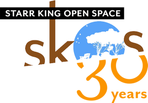 Celebrating 30 Years Of Skos