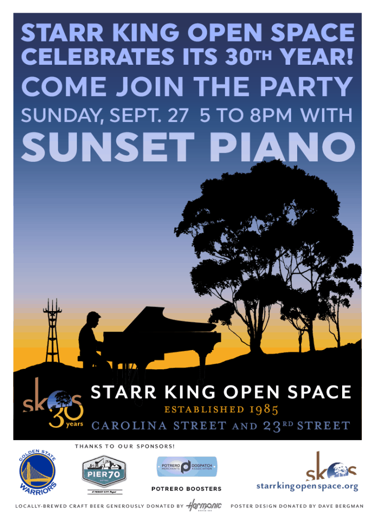 A Piano And Musician Playing Atop Starr King Open Space In Potrero Hill, Ca
