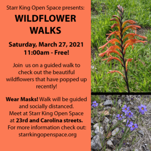 Join Us This Saturday (3/27) For A Guided Wildflower Walk 1